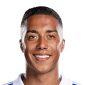 Y. Tielemans