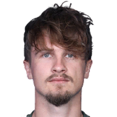 T. Jedvaj