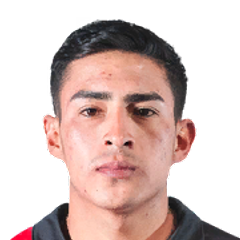 P. Ibáñez
