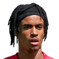 Miguel Tavares