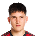 F. Ibarra