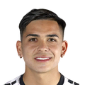 N. Meza