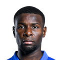 I. Amadou
