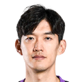 Yan Junling