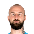 V. Milinković-Savić