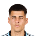 J. Pereyra