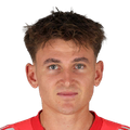 N. Polster