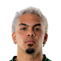 Dani Pereira