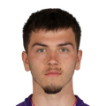 N. Botić