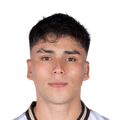 D. Pizarro