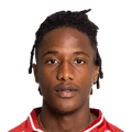 P. Diop
