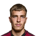 P. Vydra