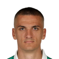 N. Cvetković