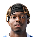 N. Adedeji-Sternberg