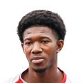 G. Diarra