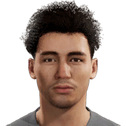 Imad Fellous
