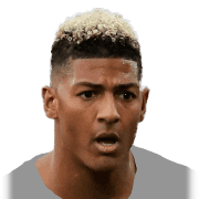 Patrick van Aanholt