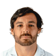 Ricardo Goulart